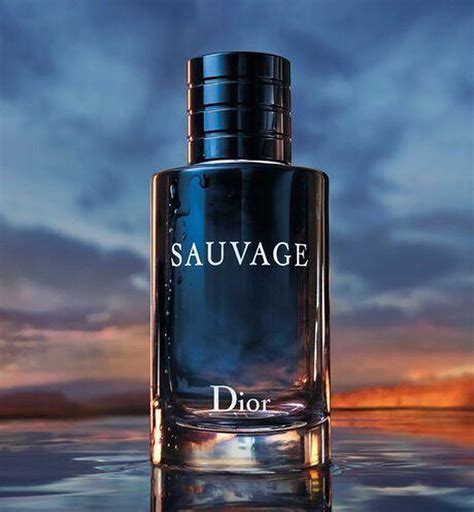 sauvage dior heren douglas|Dior Sauvage 200 ml.